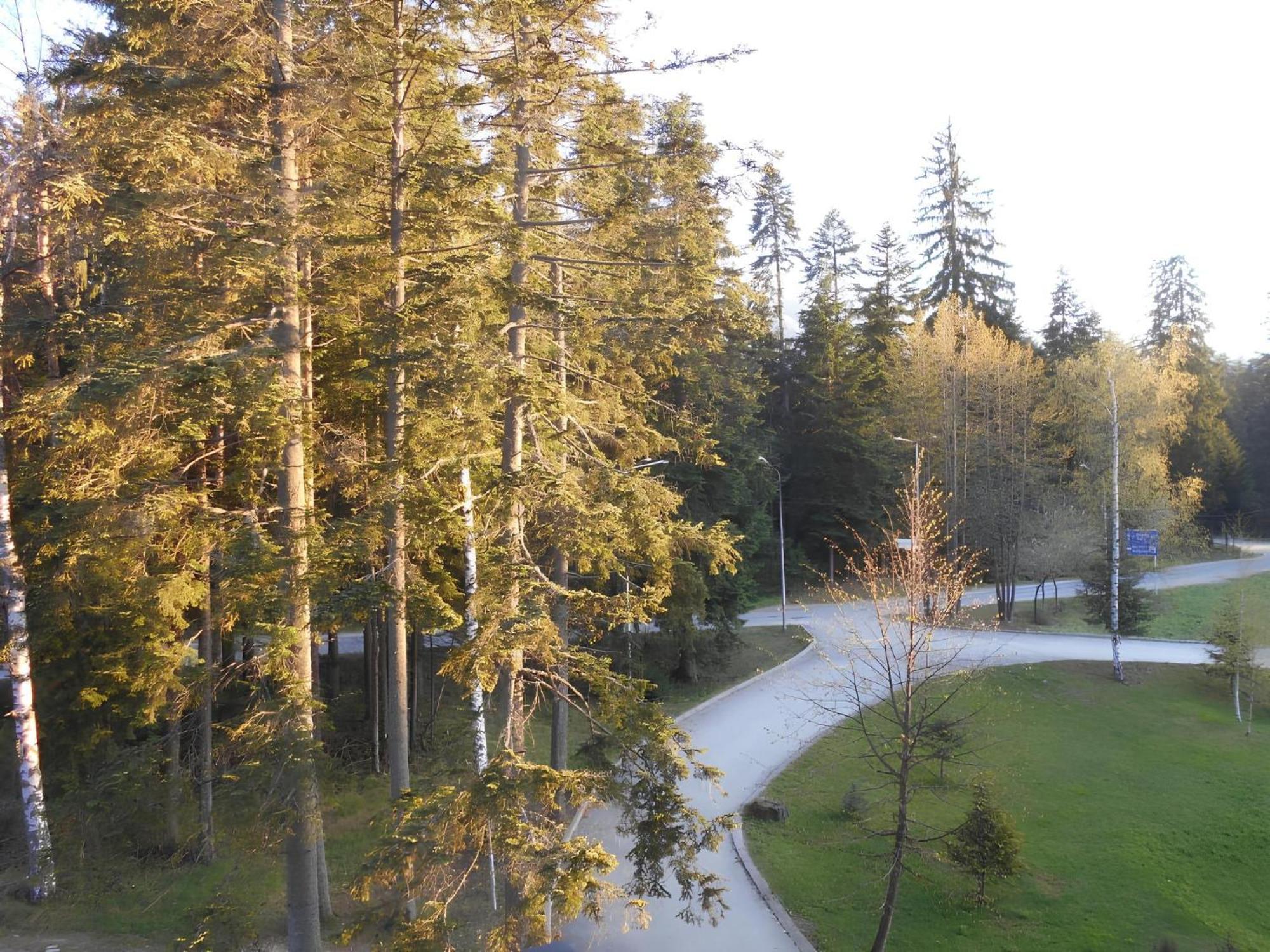 Neat Studios In "Borovets Gardens" Hotel Esterno foto